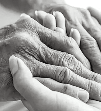 hands