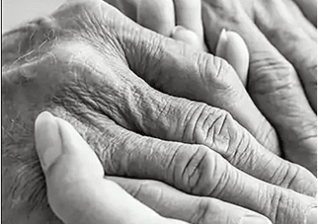 hands